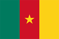 cameroon flag